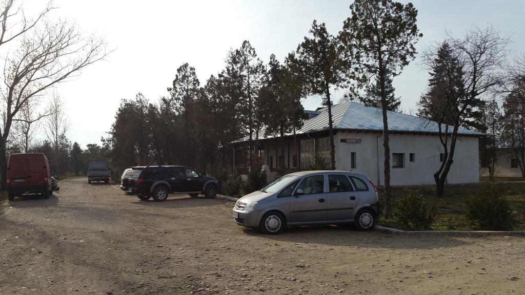 Conacul Balta Alba Ξενοδοχείο Εξωτερικό φωτογραφία